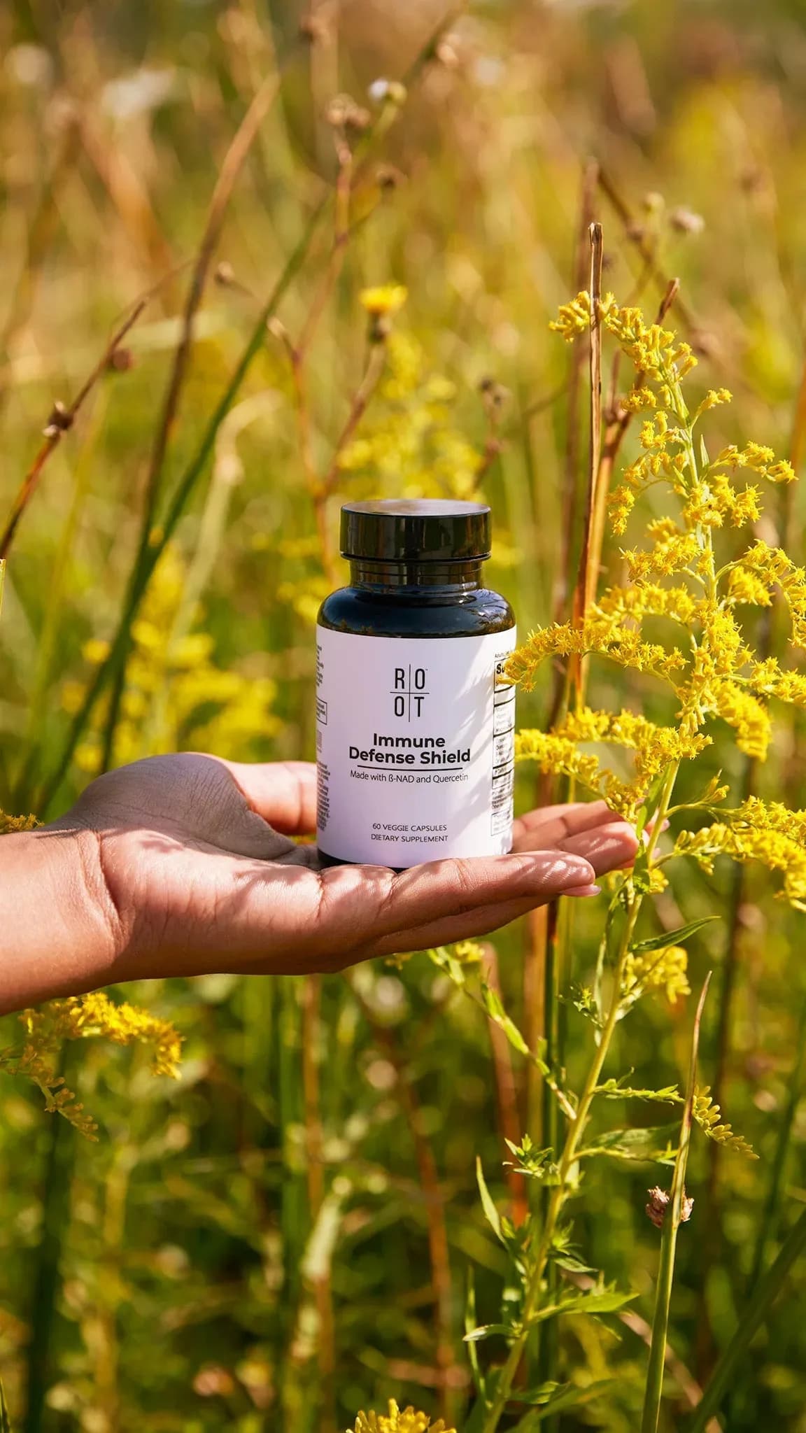 Bovine Collagen and Colostrum Together: What Is Known About Gut, Lung and Immune Support (cover image)